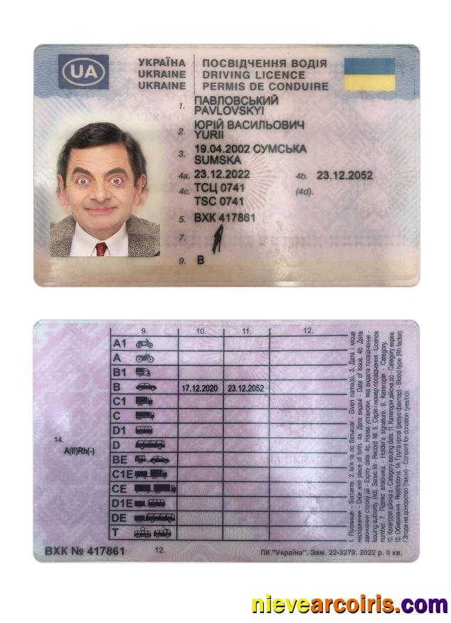 Ukraine driving license 2022-present